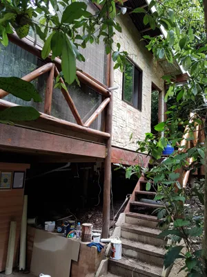 Elevated timber house on stone base with wooden deck, glass balustrade, and lush forest surroundings.