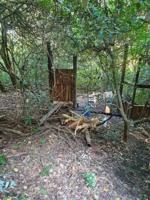 outdoor-camp2